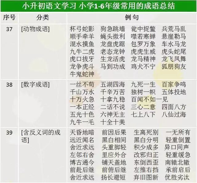 澳门内部最准资料澳门,收益成语分析落实_经典版172.312